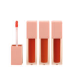 Havi gloss